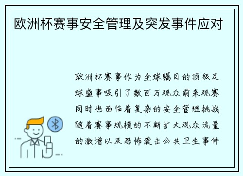 欧洲杯赛事安全管理及突发事件应对